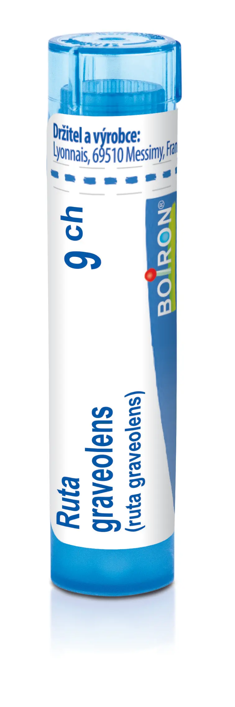 4488_RUTA GRAVEOLENS 9